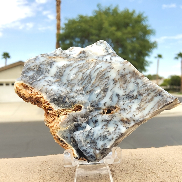 Semi Polished Beautiful Dendritic Opal Slab - Picture 13 of 17